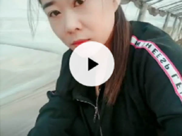 美女都可以开的深翻机