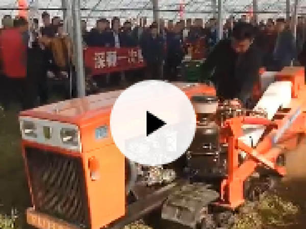 大棚深翻换茬机视频